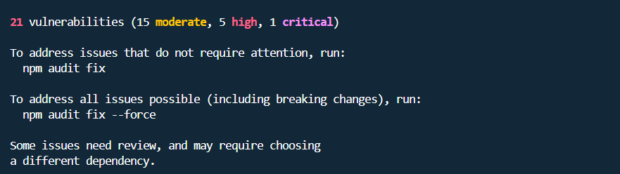 Example of running the npm audit